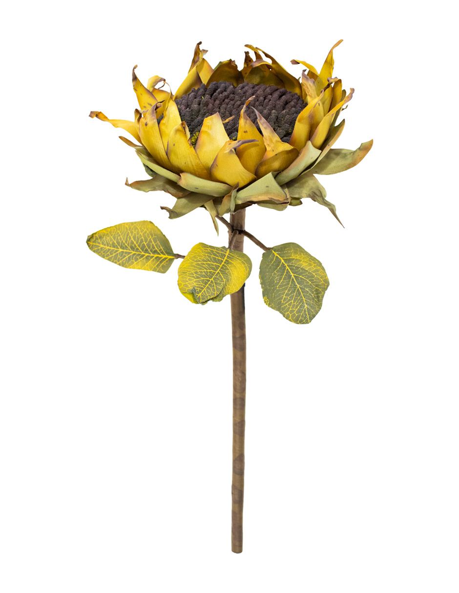 301001736995-galerias el triunfo