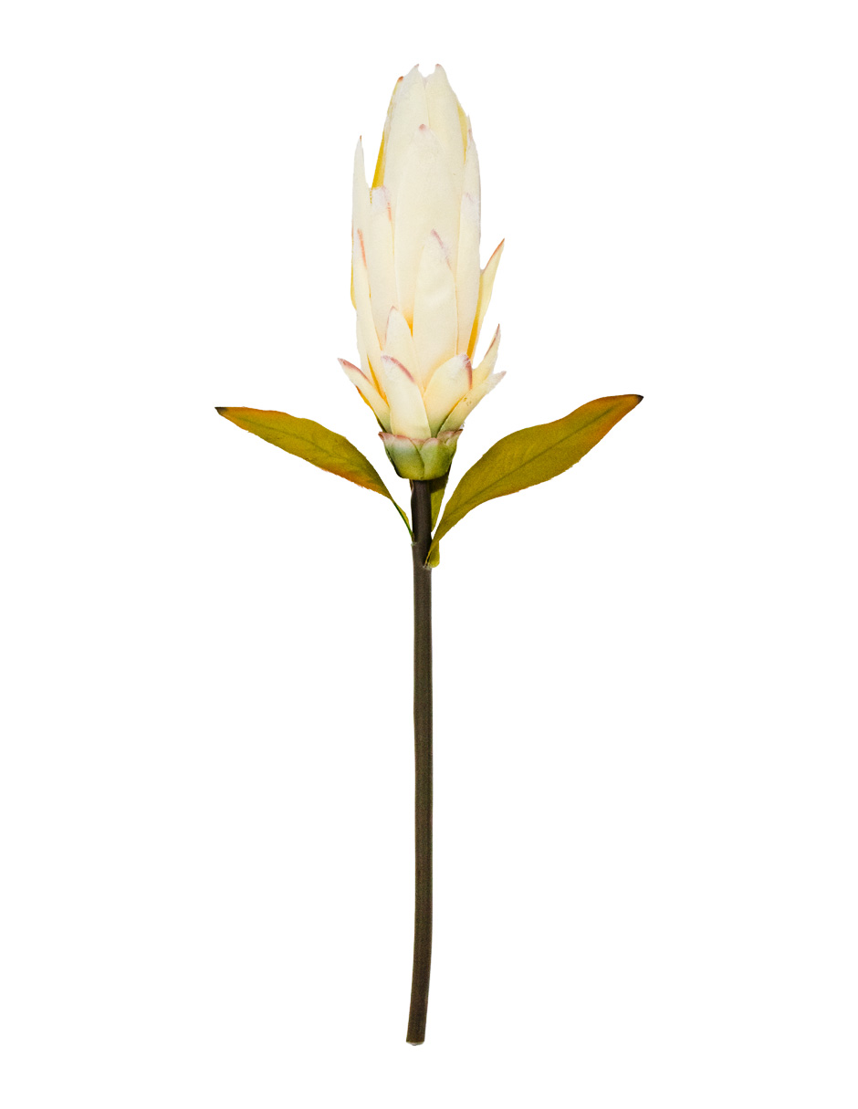 302001736001-galerias el triunfo