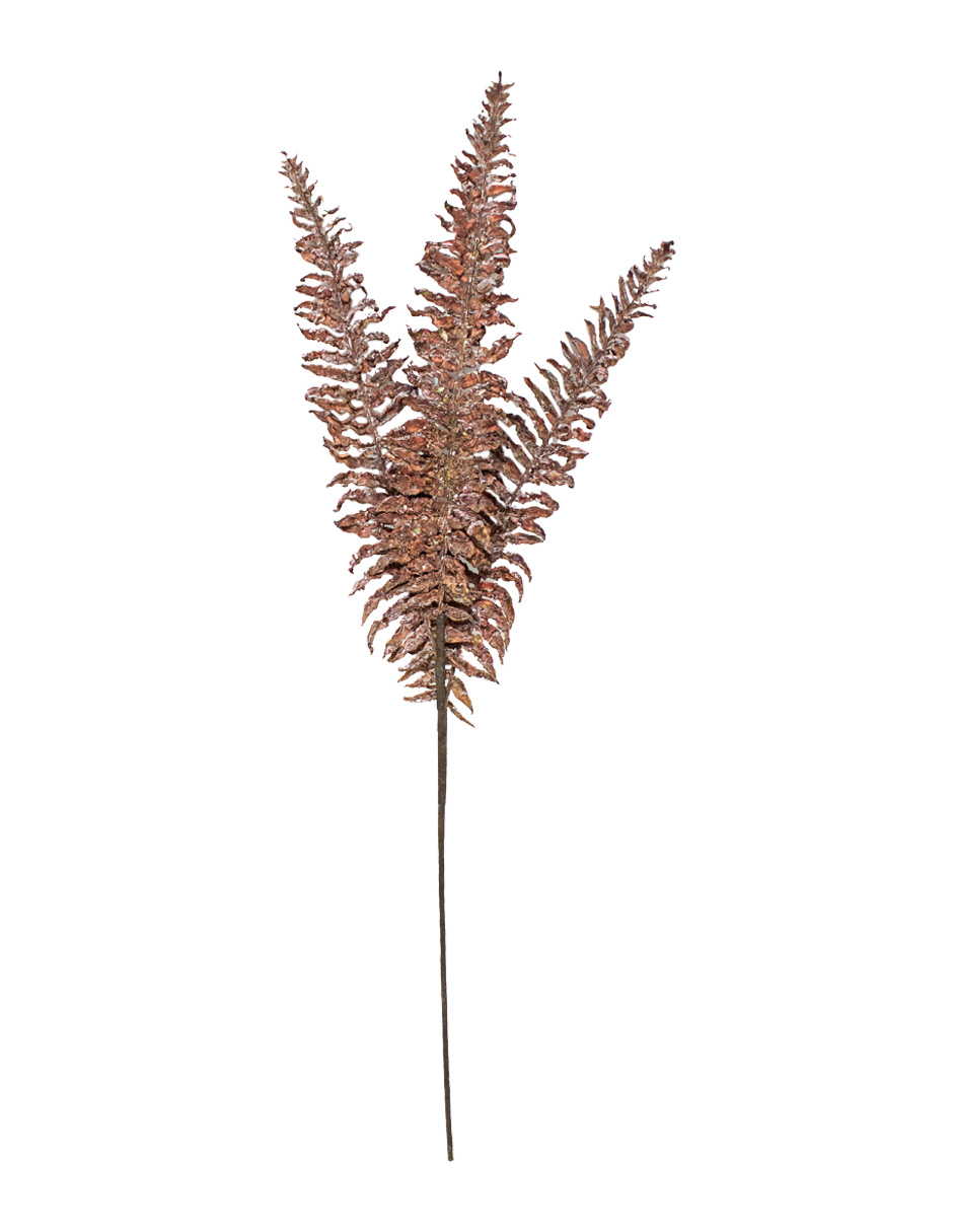 302001736003-galerias el triunfo