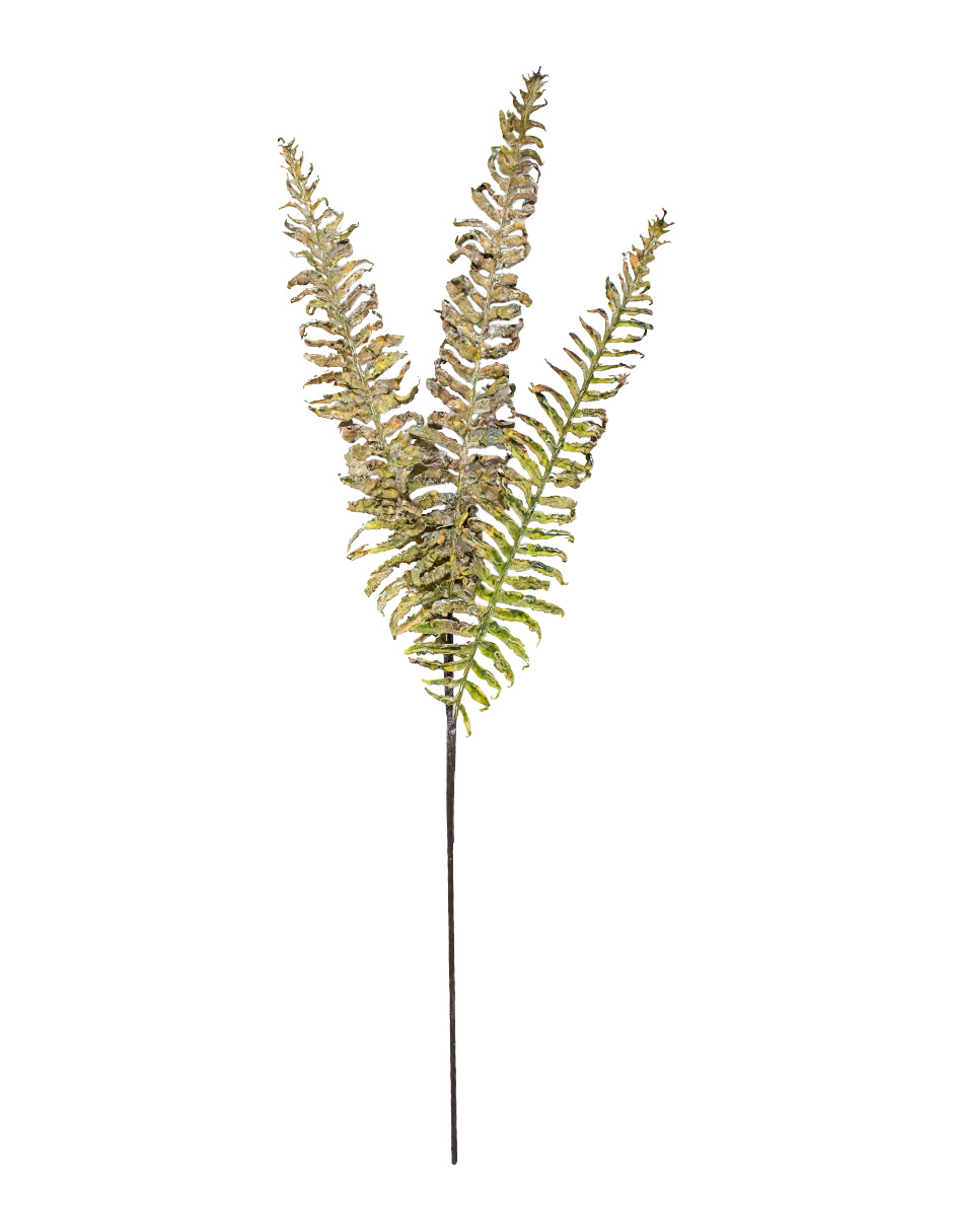 302001736004-galerias el triunfo