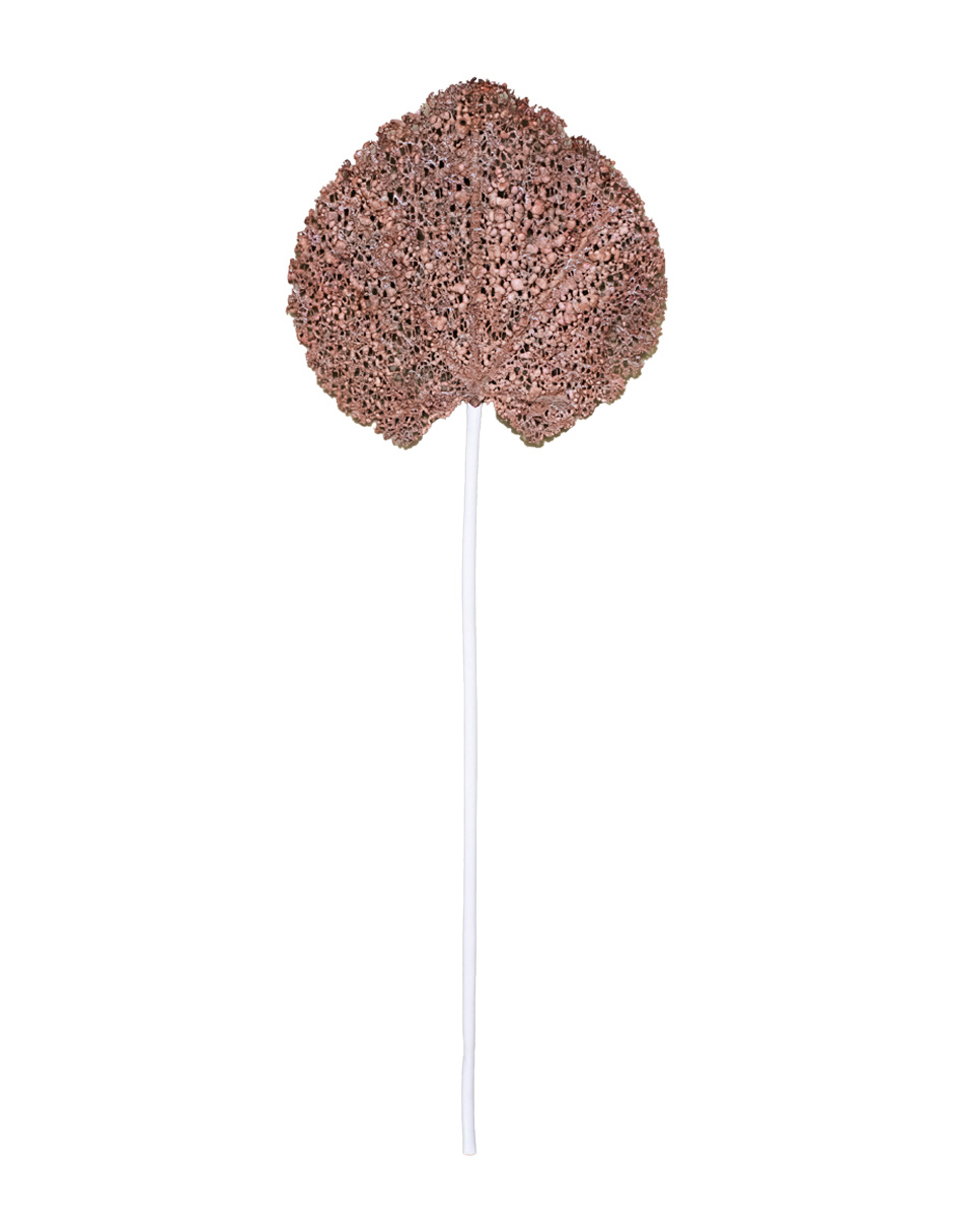 302001736010-galerias el triunfo