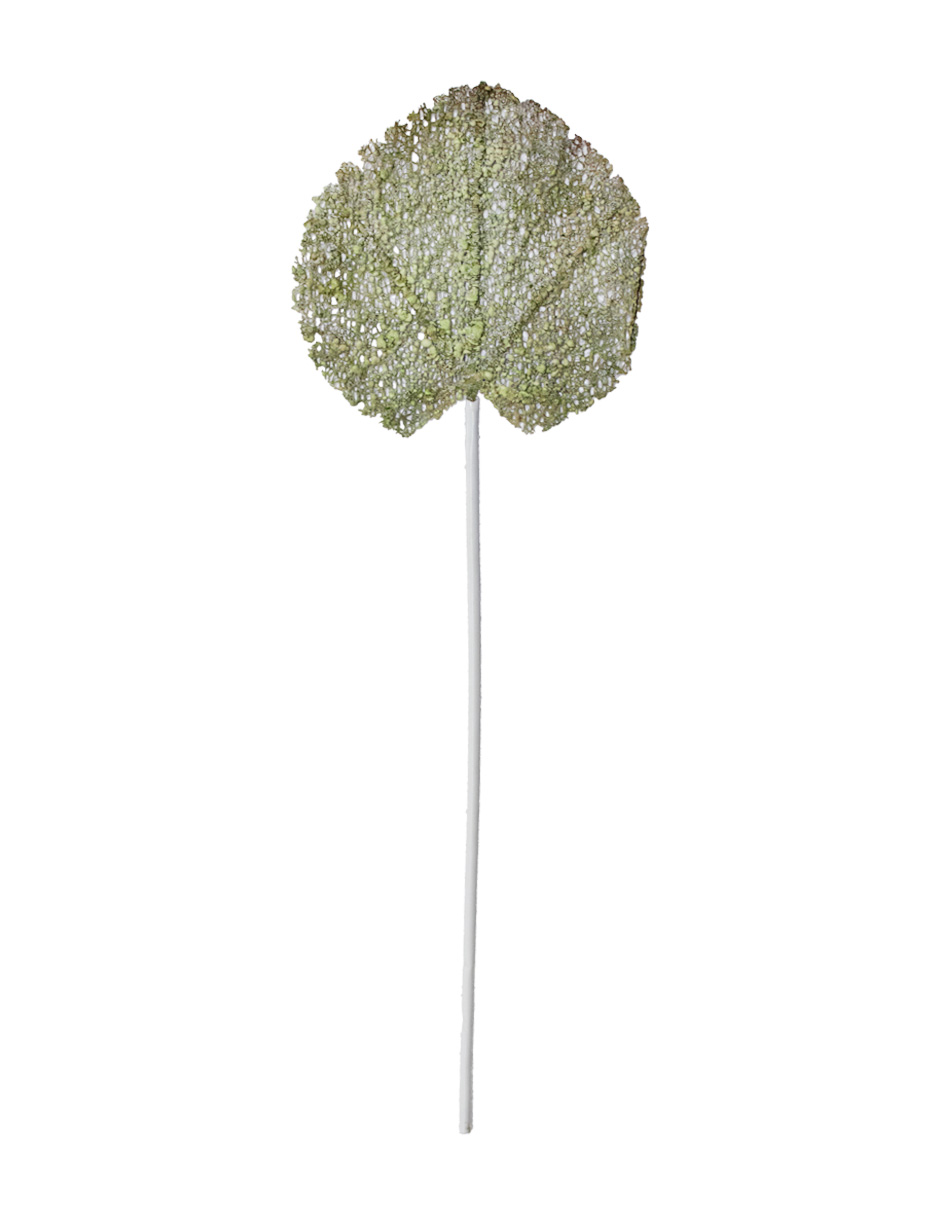 302001736014-galerias el triunfo