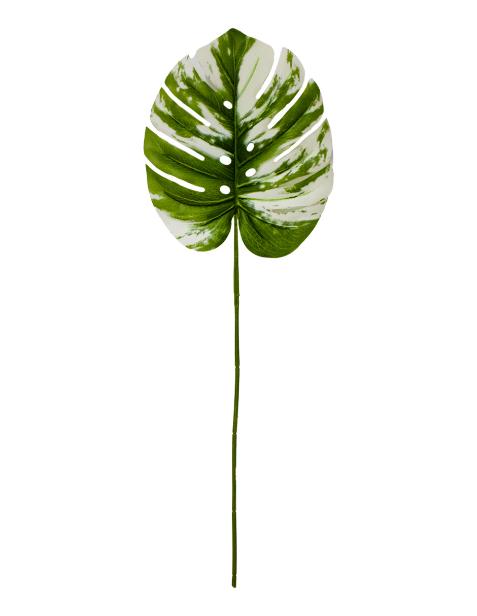 302001736020-galerias el triunfo