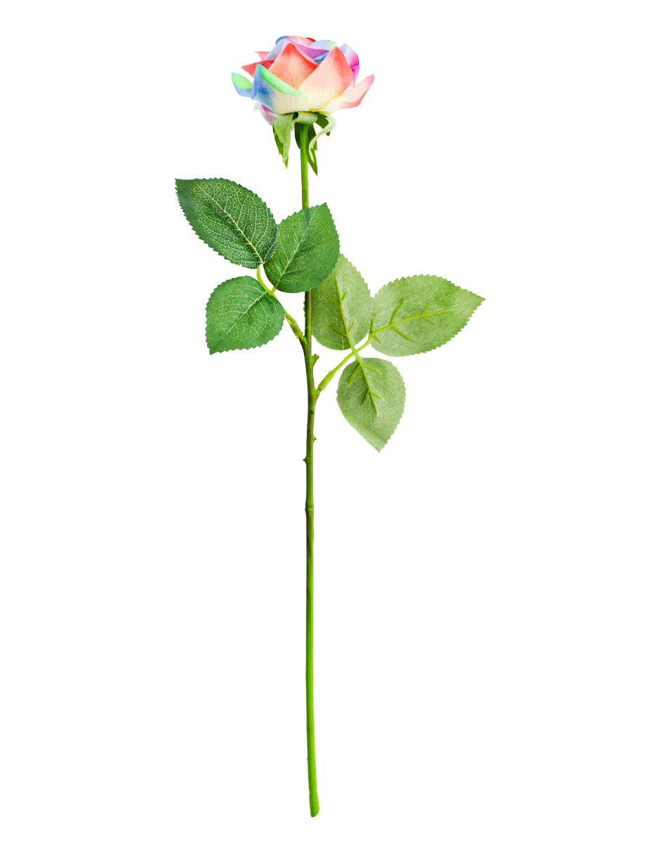 302001736066-galerias el triunfo