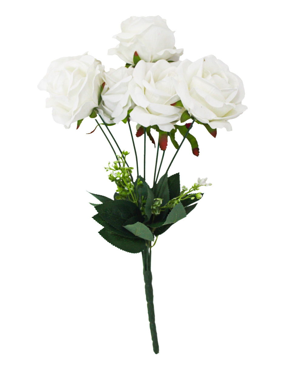 303001736890-galerias el triunfo