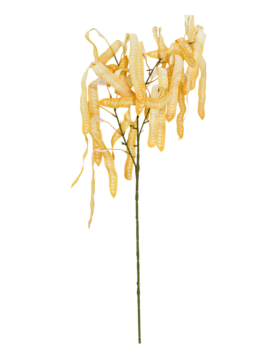 303001736892-galerias el triunfo