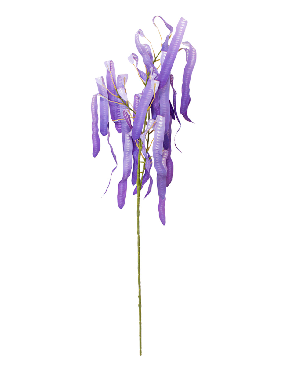 303001736893-galerias el triunfo