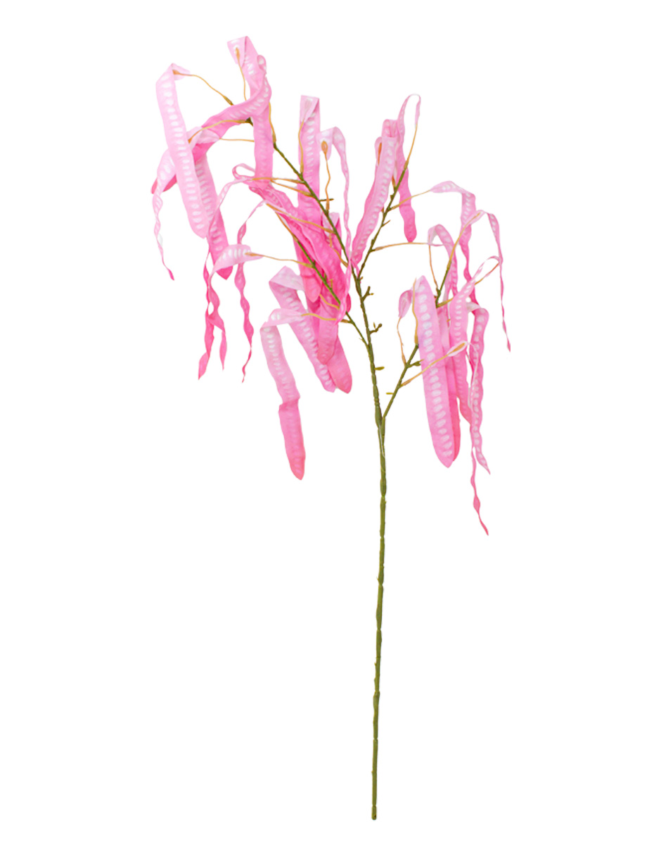 303001736894-galerias el triunfo