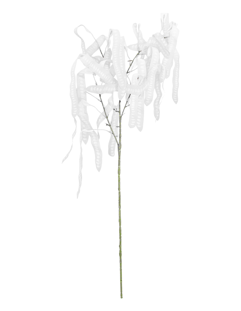 303001736895-galerias el triunfo