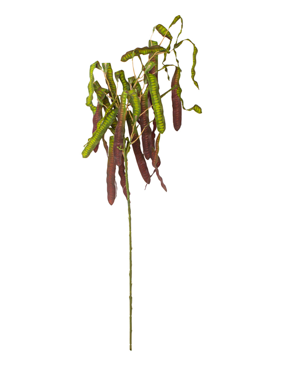 303001736896-galerias el triunfo