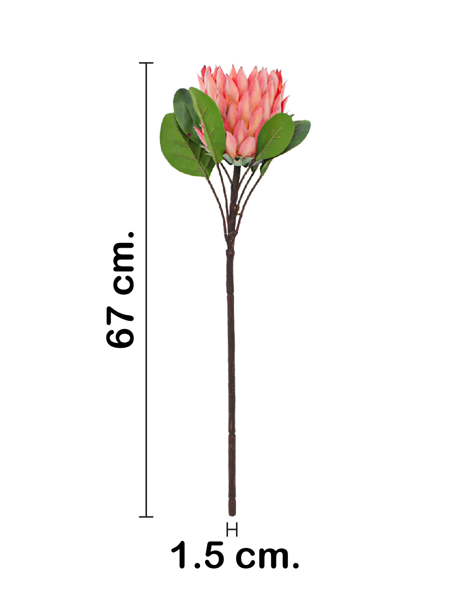 303001736924-galerias el triunfo