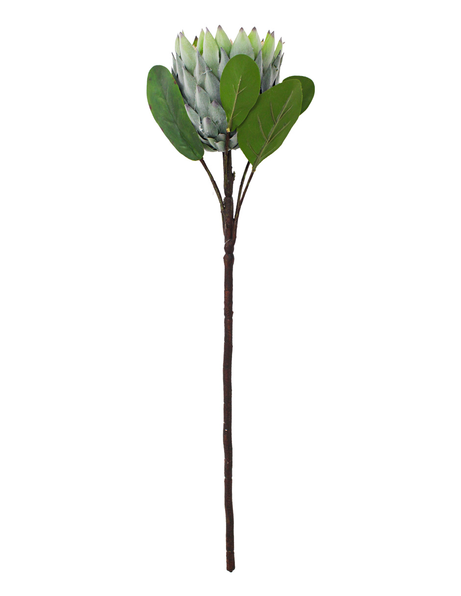 303001736925-galerias el triunfo