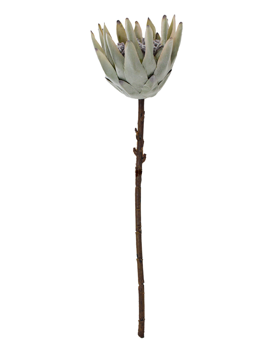 303001736932-galerias el triunfo