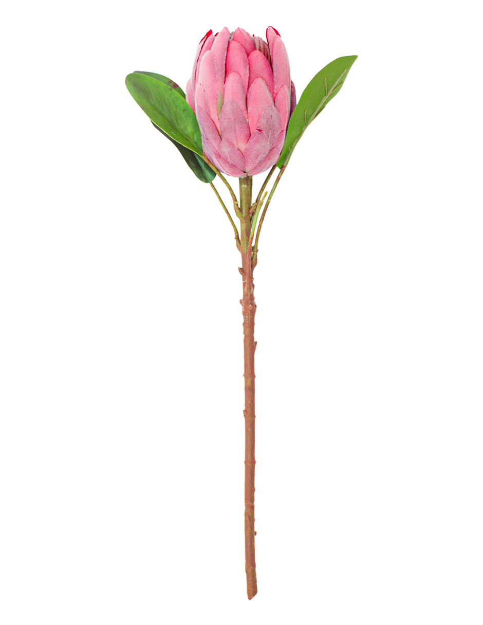 303001736934-galerias el triunfo