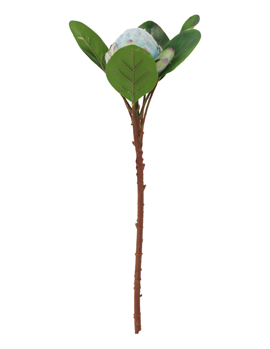 303001736936-galerias el triunfo