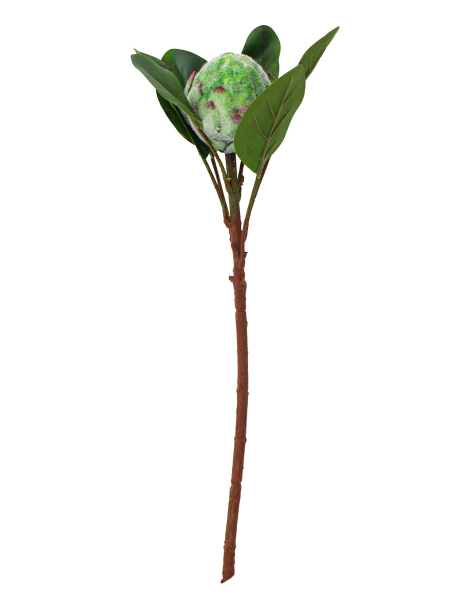 303001736938-galerias el triunfo