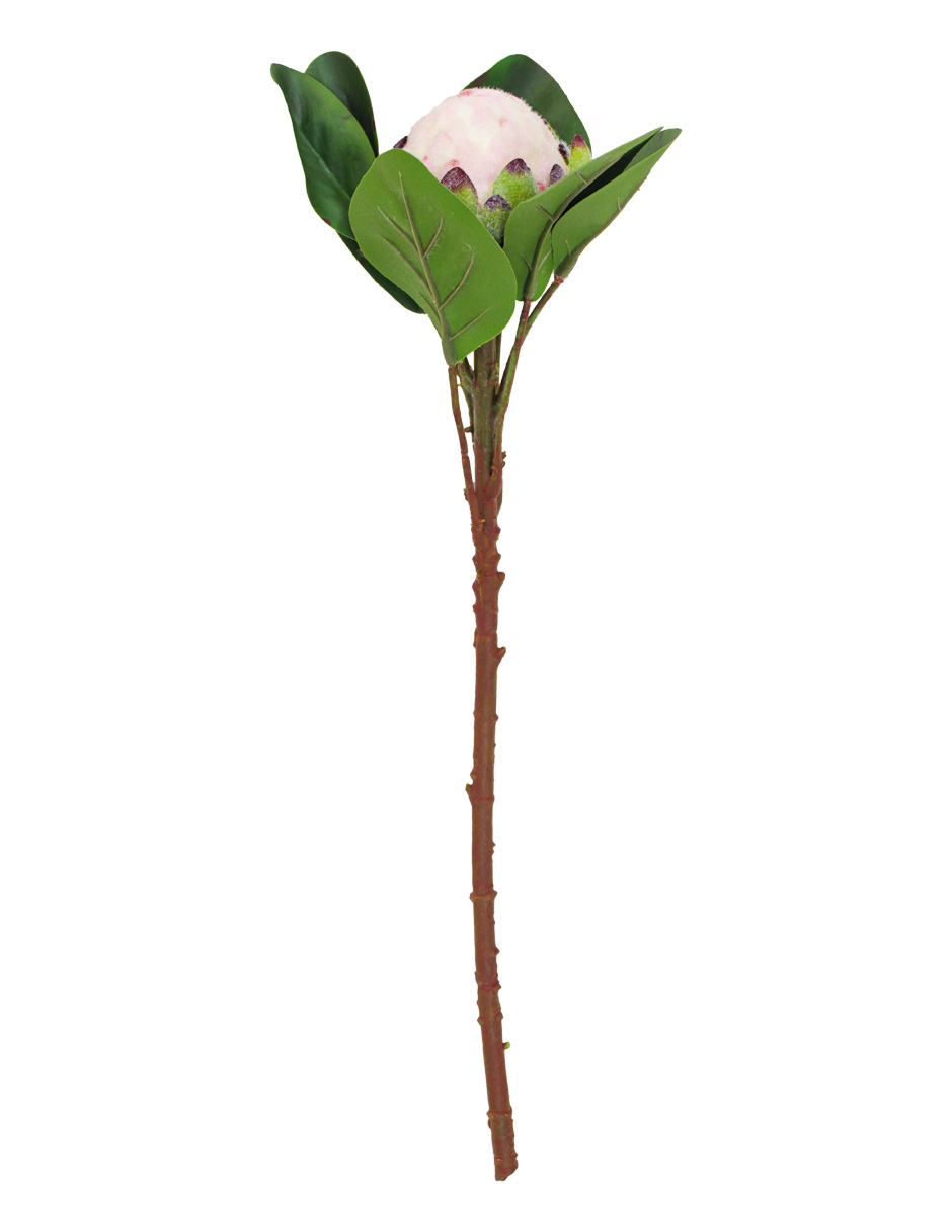 303001736939-galerias el triunfo