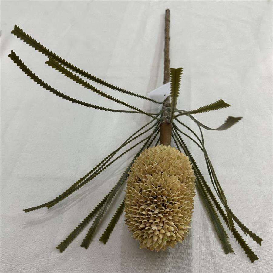 303001736979-galerias el triunfo