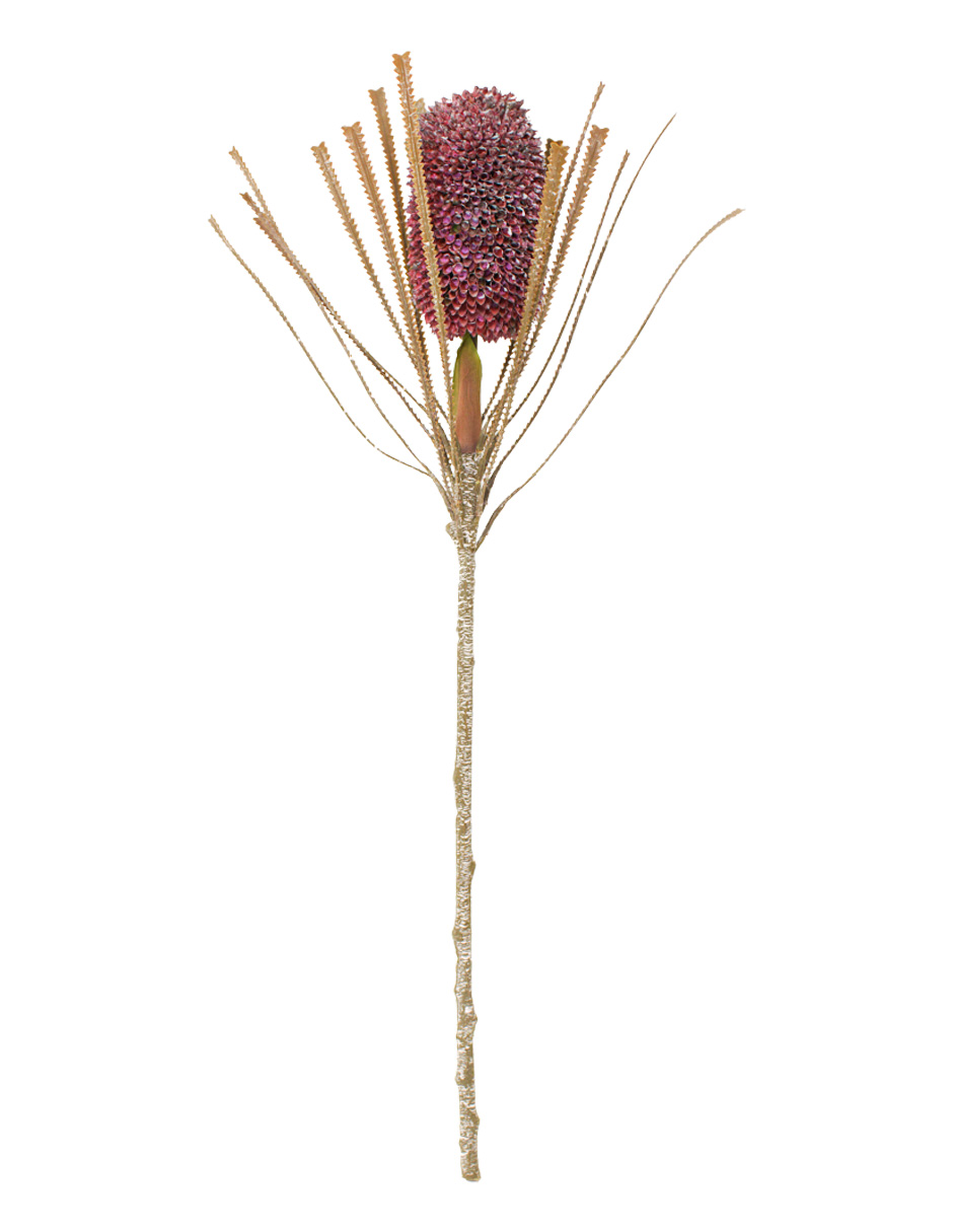 303001736980-galerias el triunfo