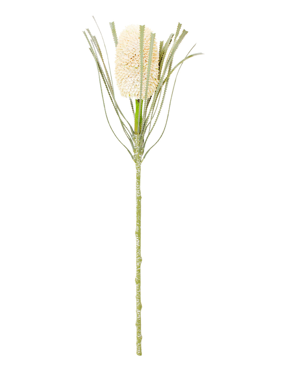 303001736981-galerias el triunfo