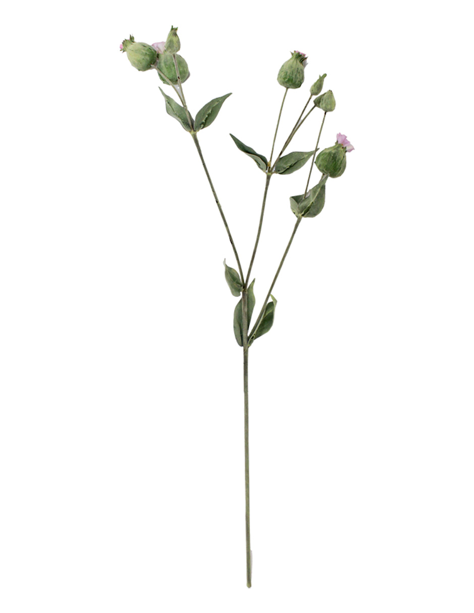 303001736993-galerias el triunfo