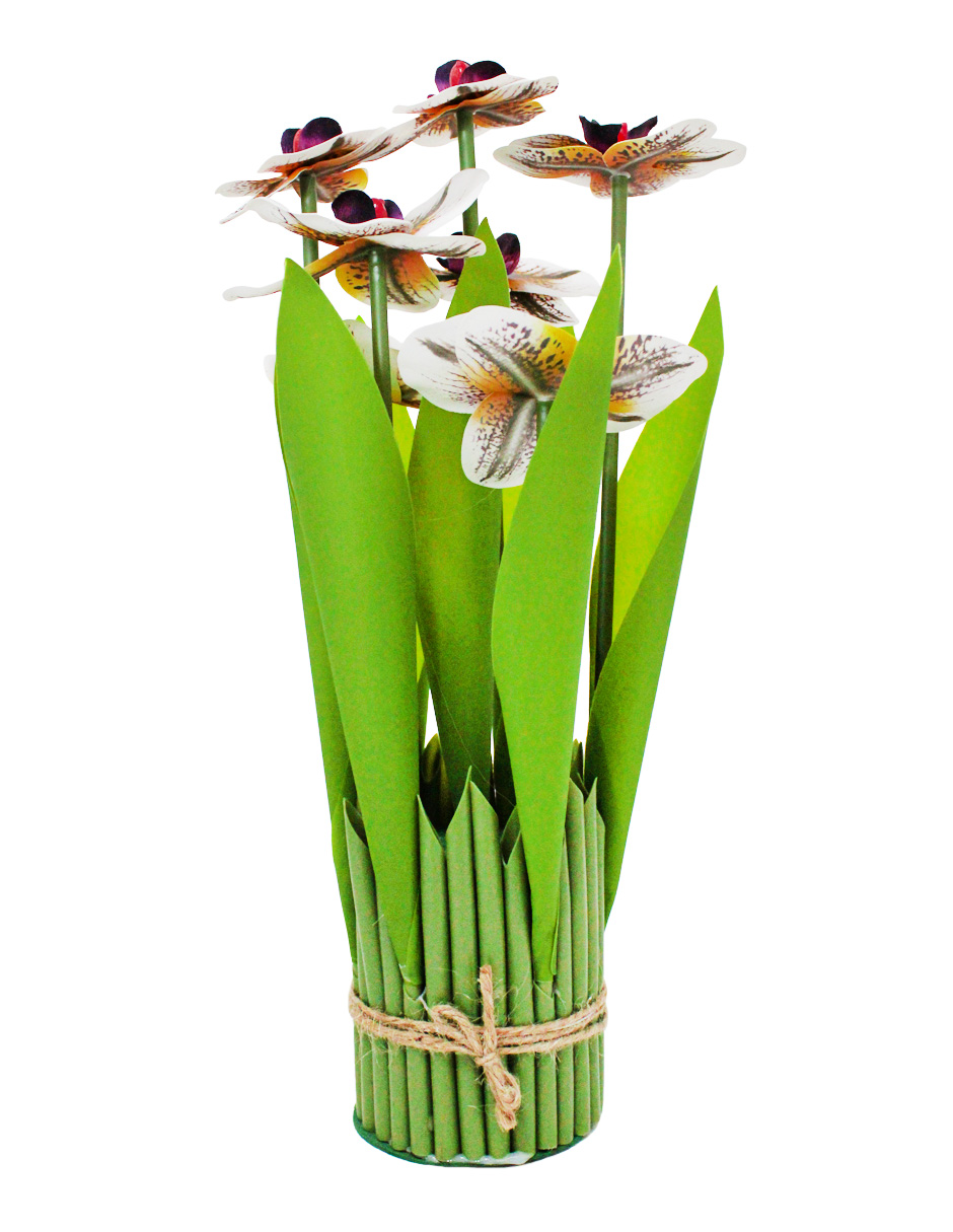 304001736000-galerias el triunfo