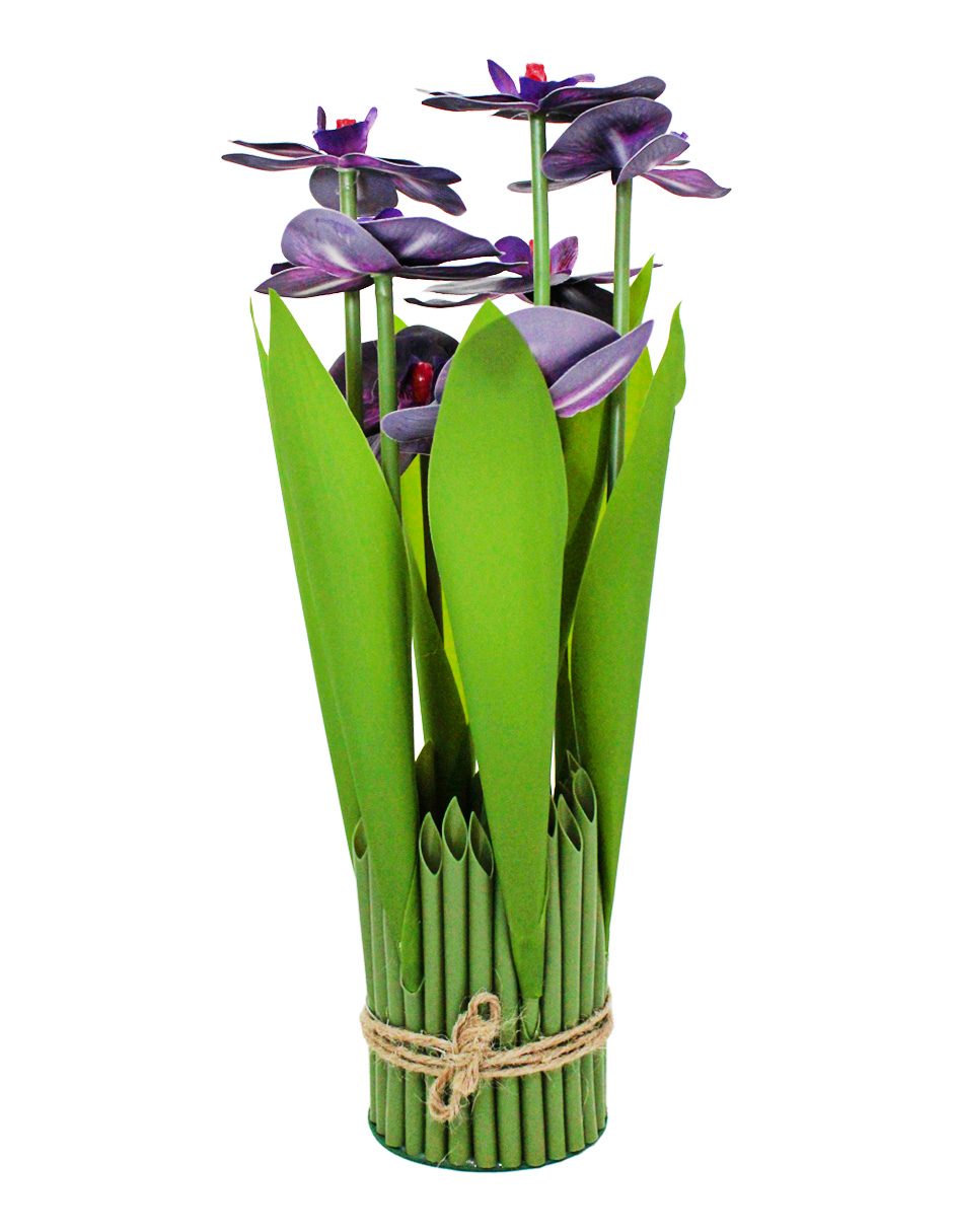 304001736005-galerias el triunfo