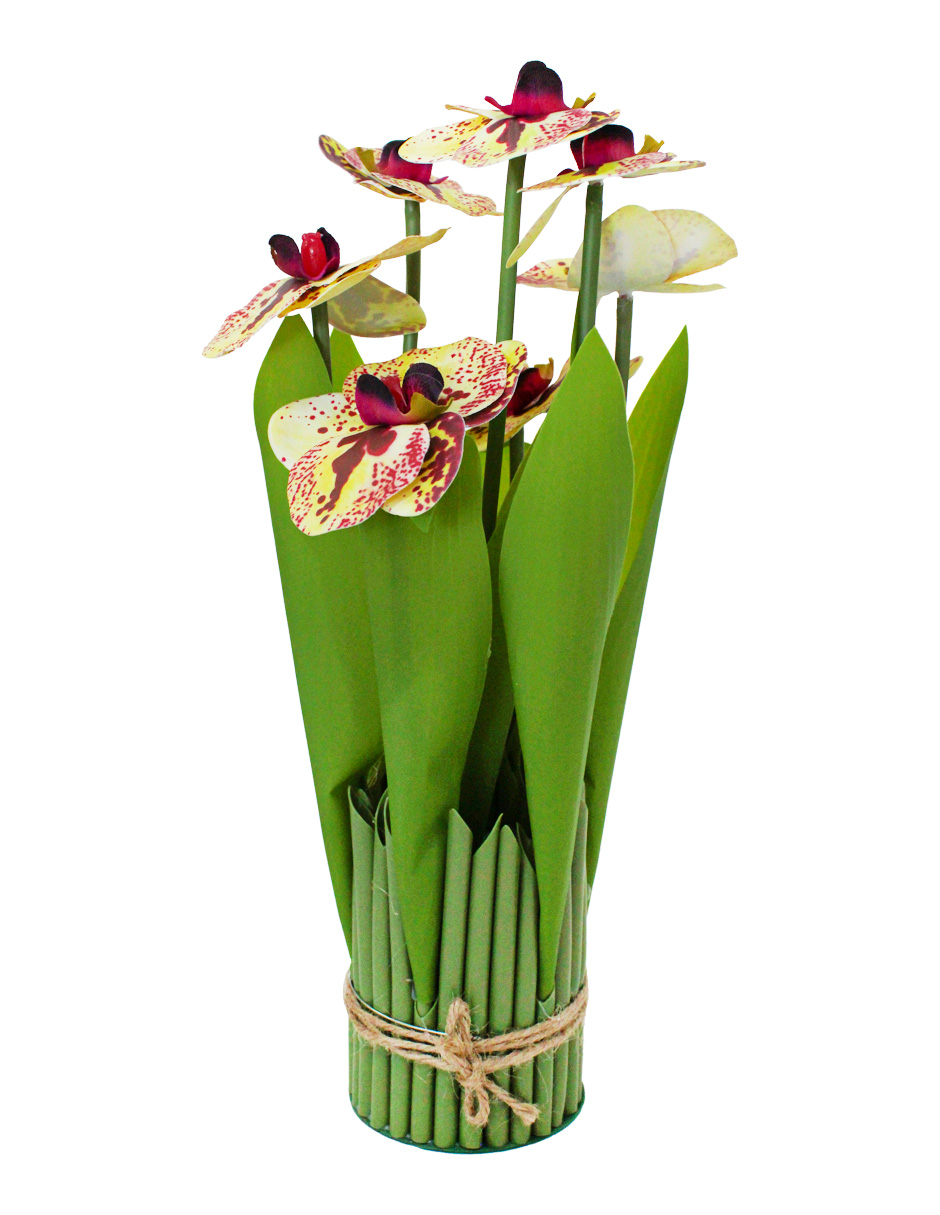 304001736006-galerias el triunfo