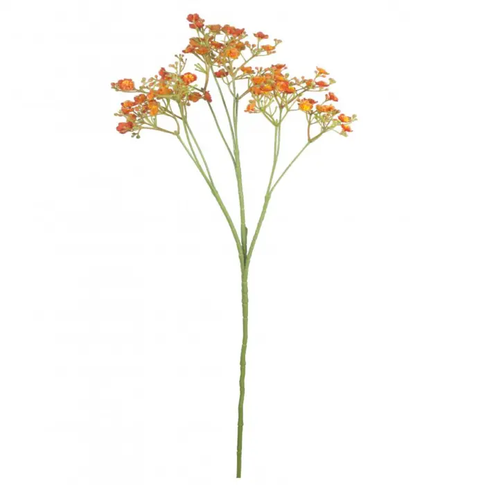 galerias el triunfo - 022032811076