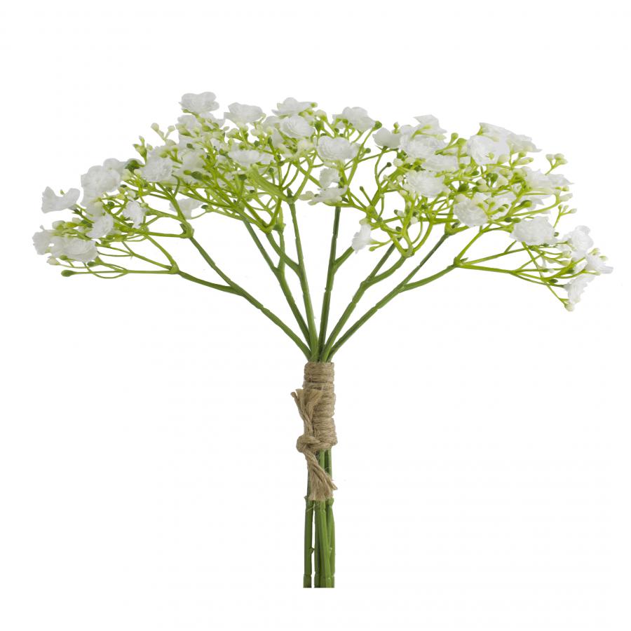 galerias el triunfo - 022032811088