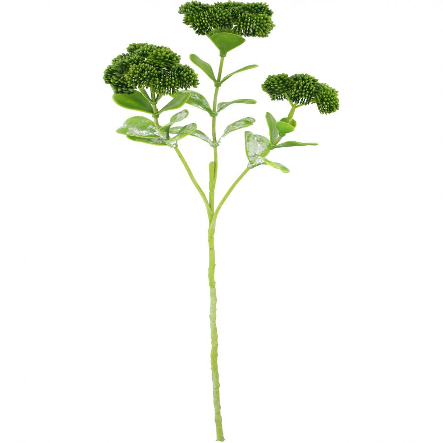 galerias el triunfo - 022032811094