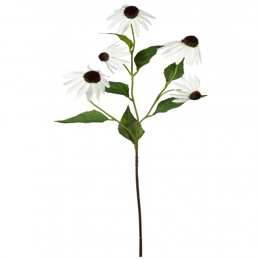 galerias el triunfo - 022032811095