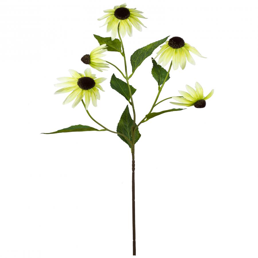 galerias el triunfo - 022032811096