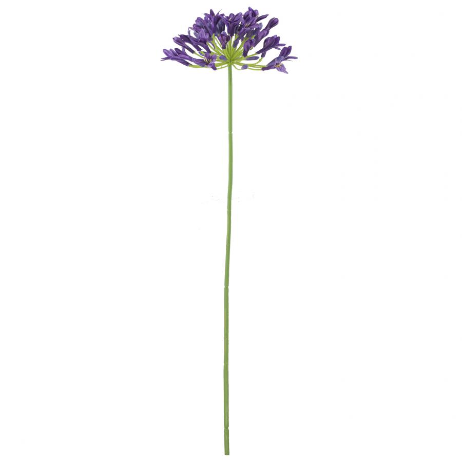 galerias el triunfo - 022032811101