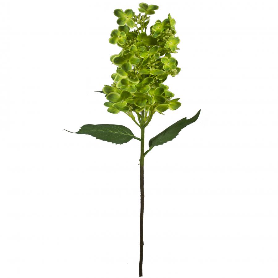 galerias el triunfo - 022032811107