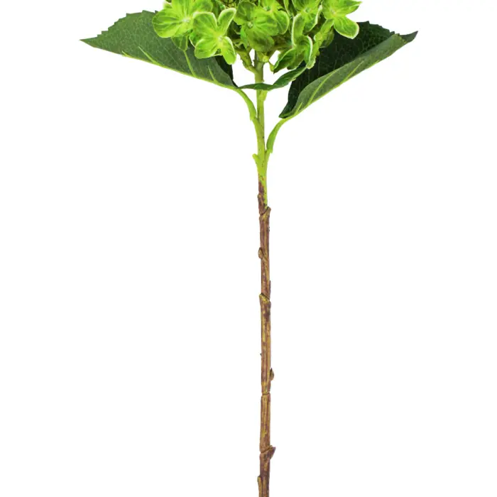 galerias el triunfo - 022032811109