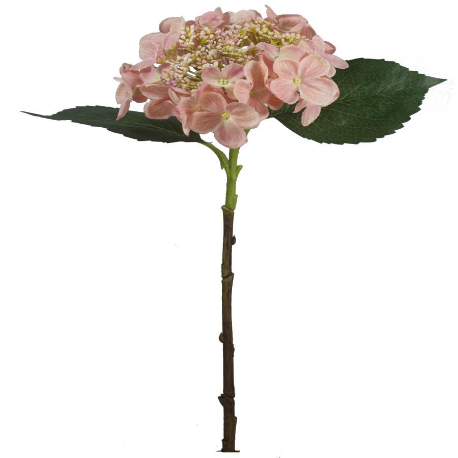 galerias el triunfo - 022032811111