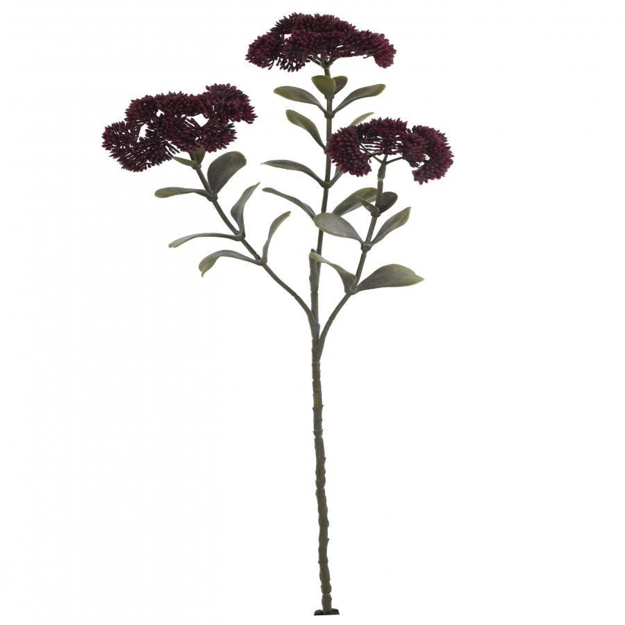 galerias el triunfo - 022032811115