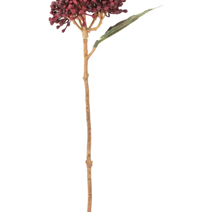 galerias el triunfo - 022032811120