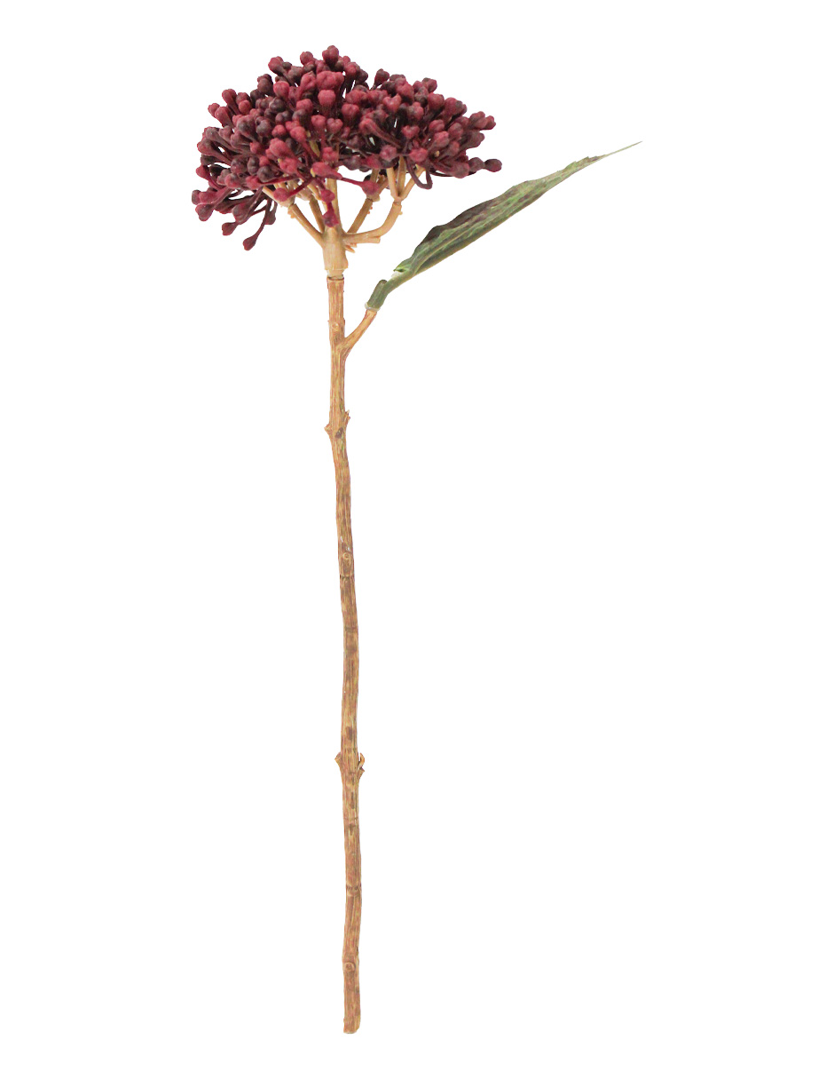 galerias el triunfo - 022032811120