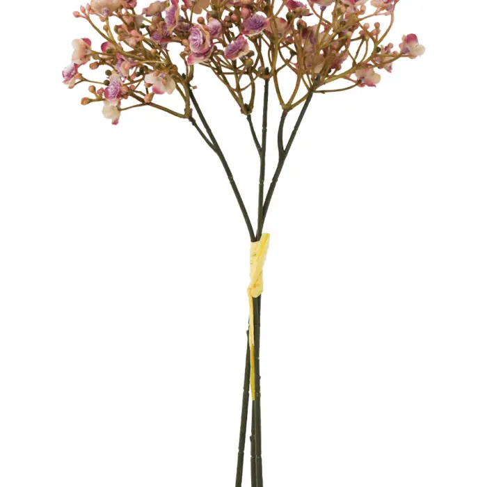 galerias el triunfo - 022032811133