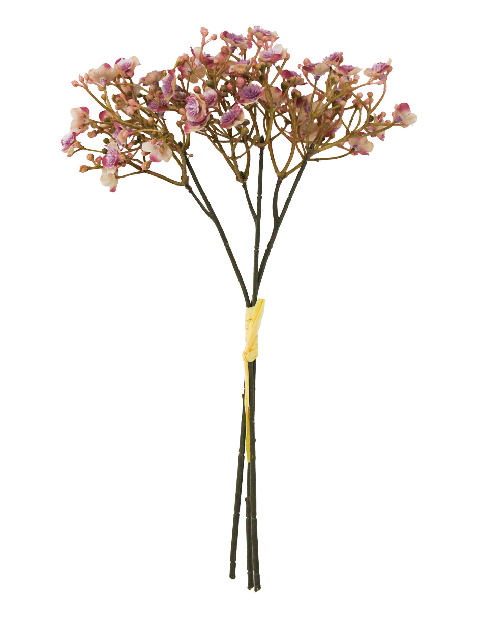 galerias el triunfo - 022032811133