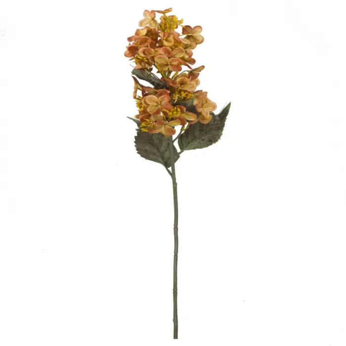 galerias el triunfo - 022032811140