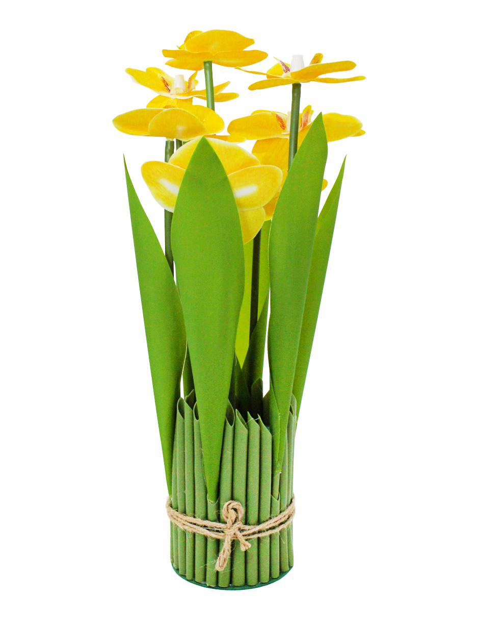 304001736003-galerias el triunfo