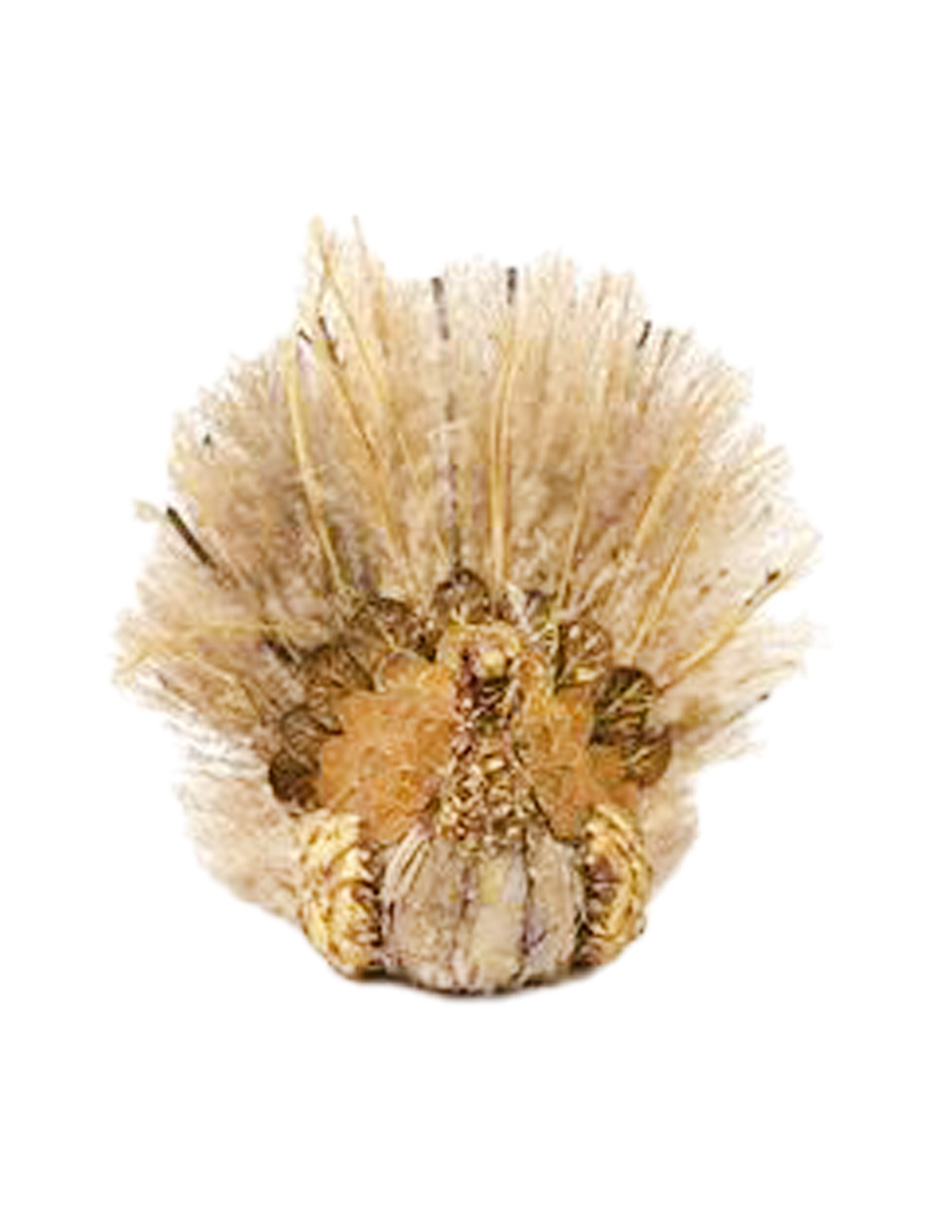 100307378363-galerias el triunfo