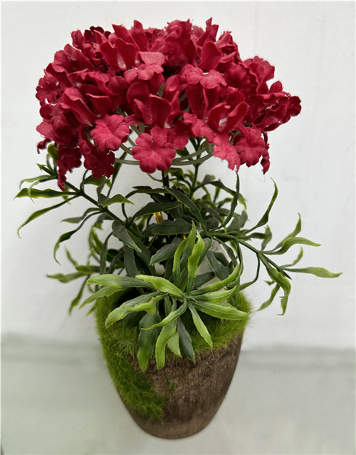 301001736296-galerias el triunfo