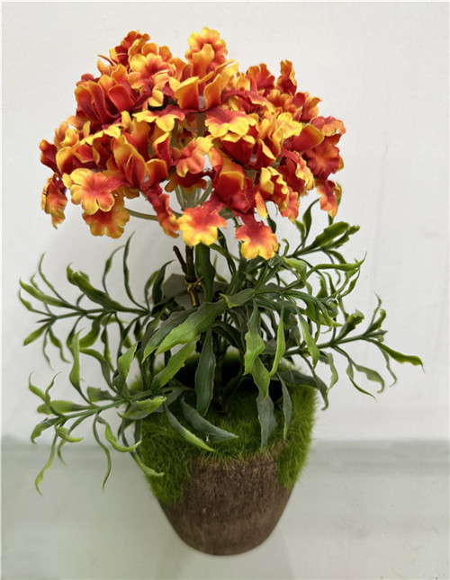 301001736297-galerias el triunfo