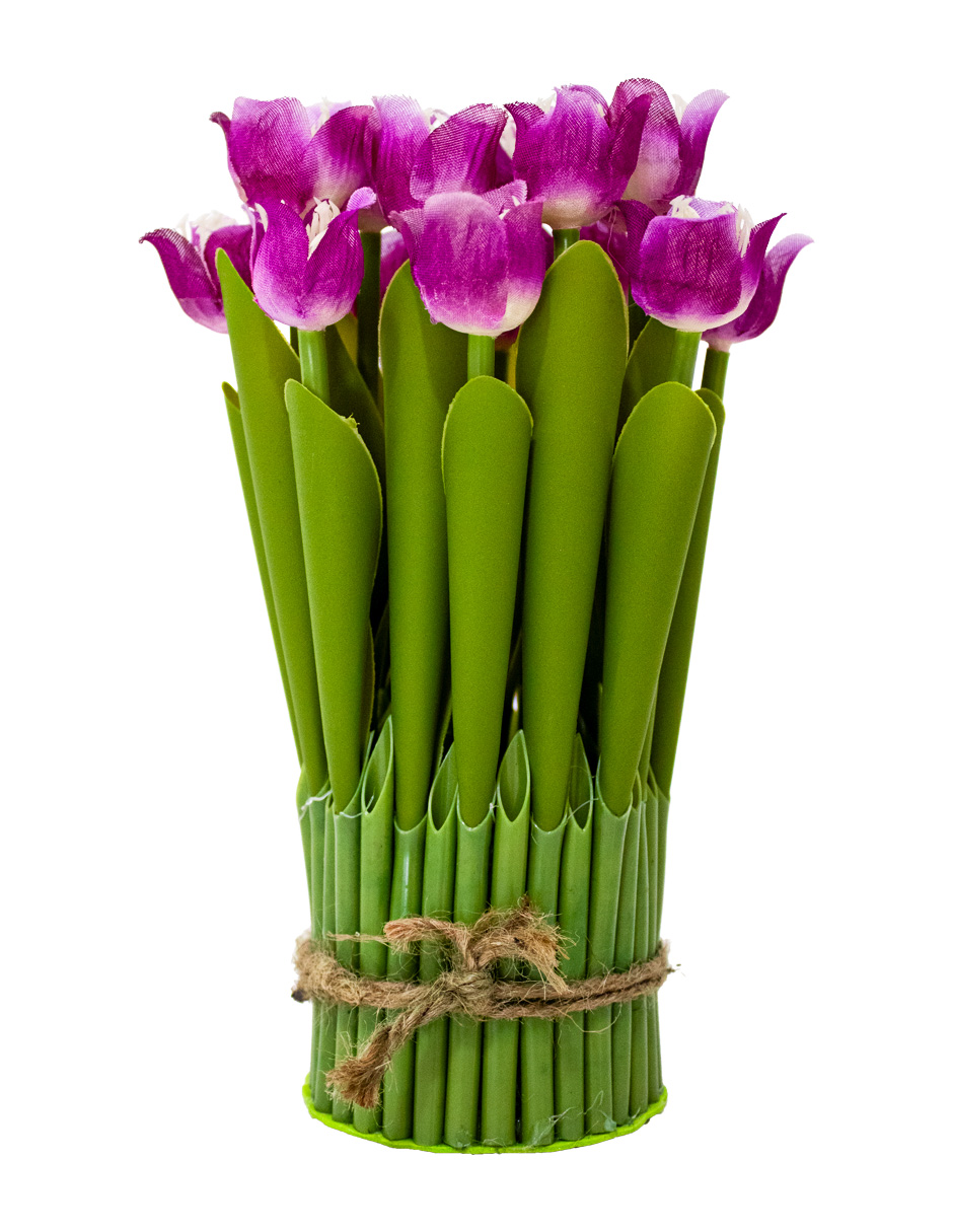 301001736835-galerias el triunfo