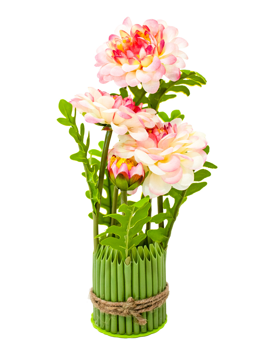 301001736846-galerias el triunfo