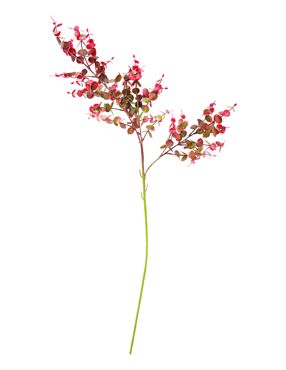 301001736912-galerias el triunfo